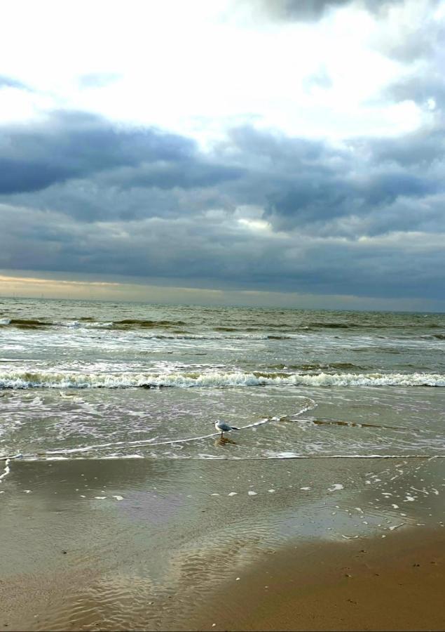 Zeelui Hotel Egmond aan Zee Ngoại thất bức ảnh